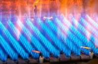 Wolferlow gas fired boilers